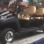 Jual Golf Cart Baru 2