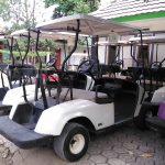 Jual Buggy Car Bekas