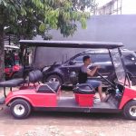 Jual Buggy Golf Second