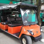 Jual Golf Cart Elektrik