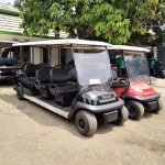 Distributor Buggy Cart