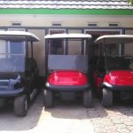 Dealer Buggy Cart