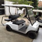 Showroom Buggy Car