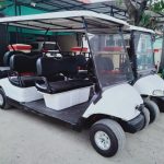 Jual Mobil Golf Listrik