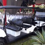 Jasa Rental Buggy Car