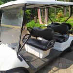 Harga Sewa Buggy Cart