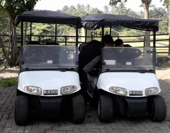 Rental Golf Cart Murah