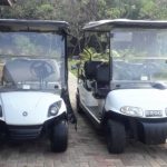 Harga Mobil Golf Buggy