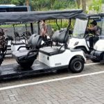Sewa Rental Buggy Golf