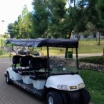 Harga Mobil Buggy Car